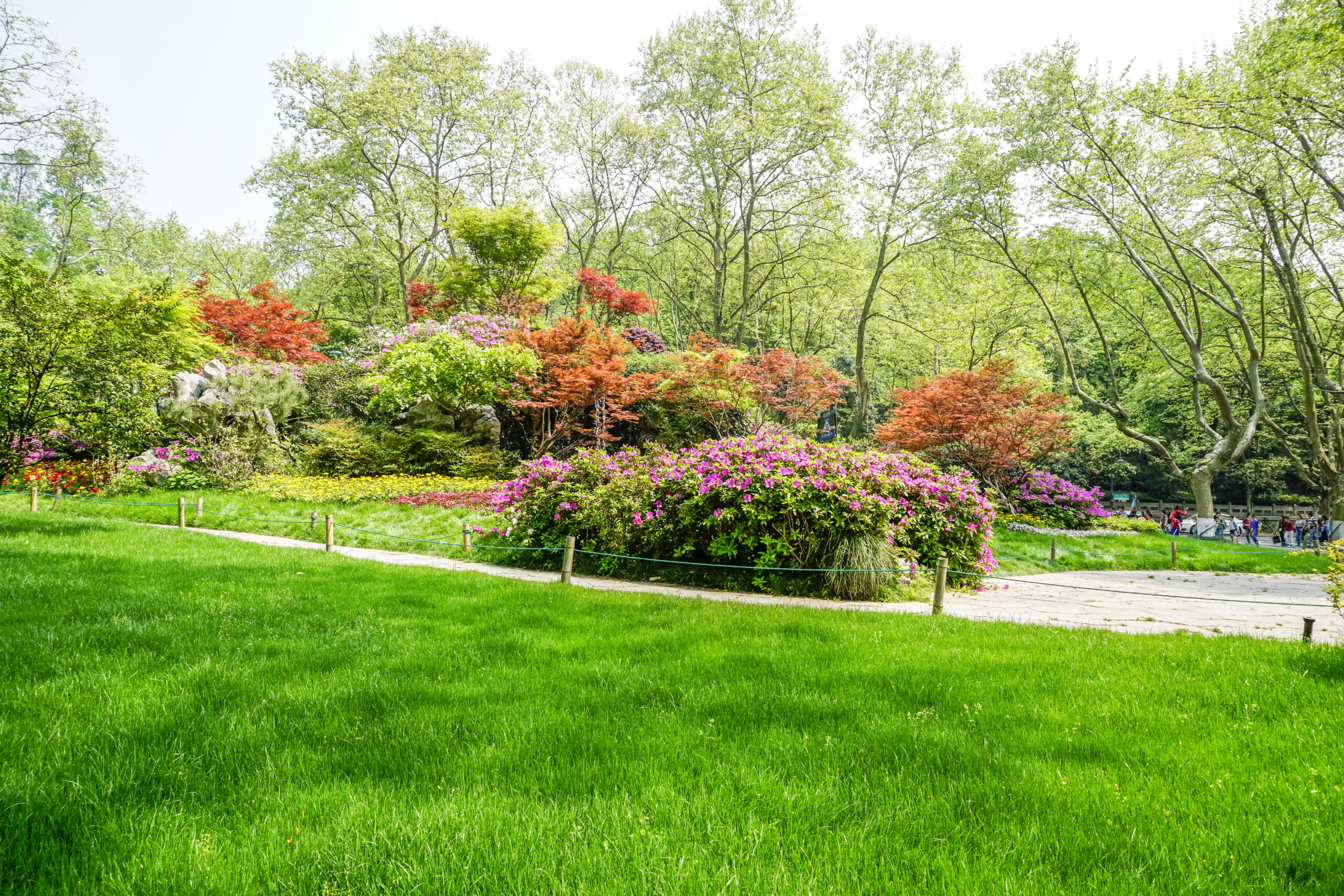 beautiful-green-park