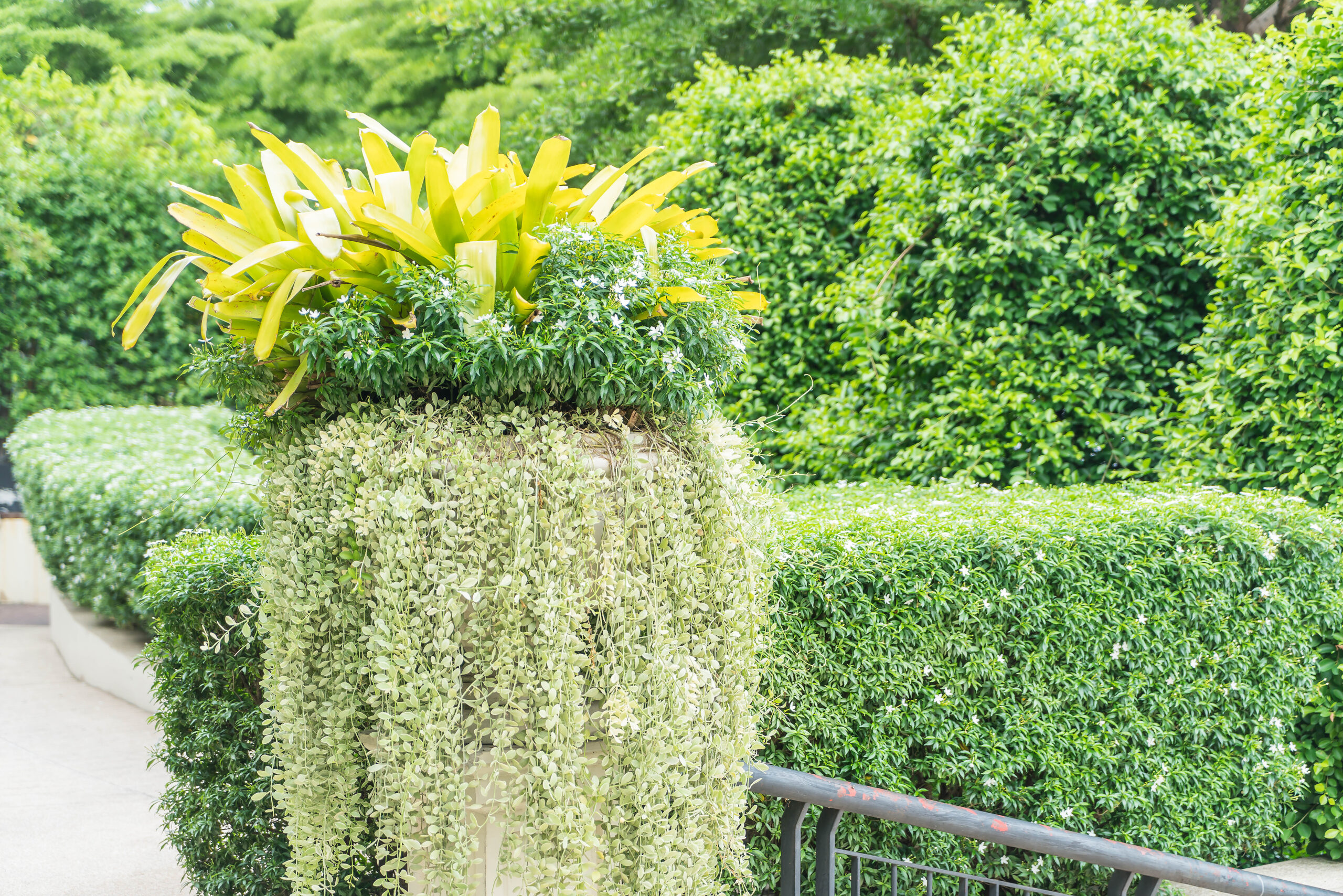 bouquet tree in pot with copy space